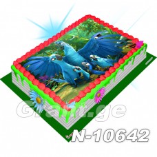  რიო ფოტო ტორტი 10642