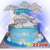 ტორტი თვითმფრინავი 22209
