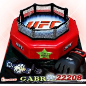 UFC რინგი 22208