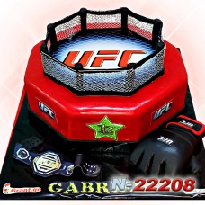 UFC რინგი 22208